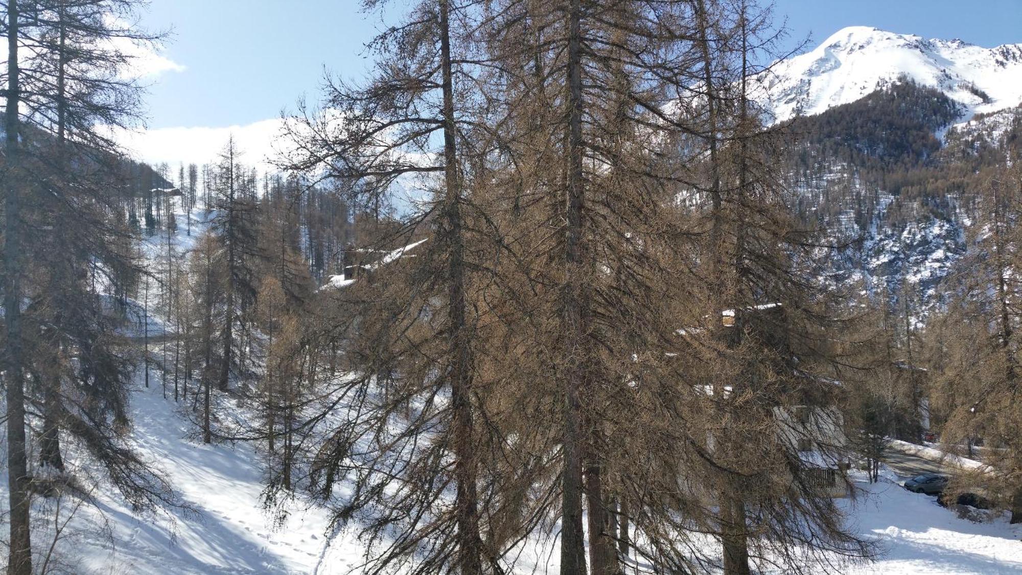 Le Lodge Des Marmottes - Calme, Cosy, Vue Nature レ・ゾル エクステリア 写真